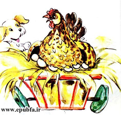 قصه کودکانه حنایی و جوجههایش-کتاب قصه کودکانه-ایپابفا قصه و داستان7